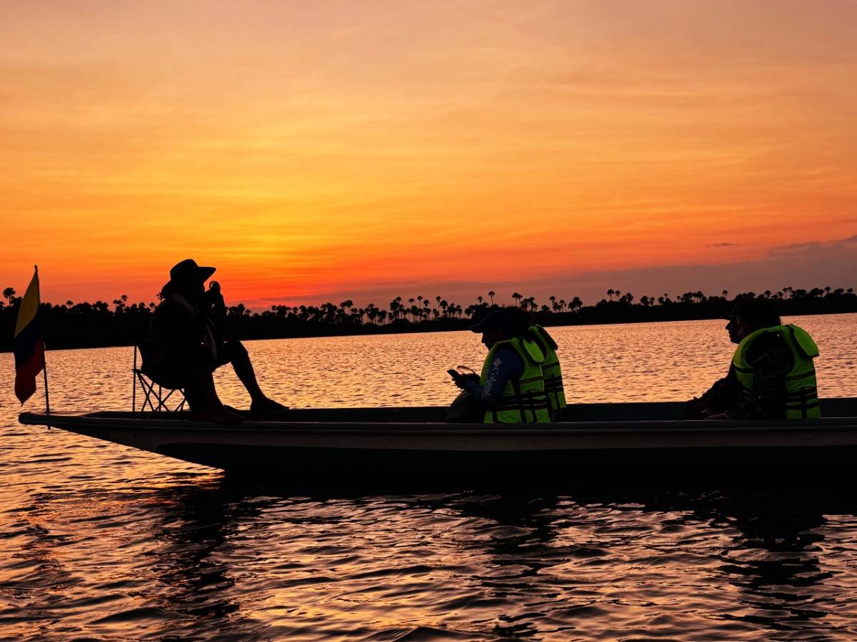 Foto