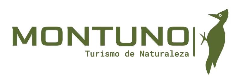 MONTUNO